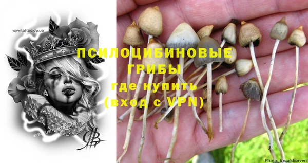 apvp Медвежьегорск