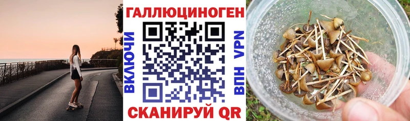 где найти наркотики  ОМГ ОМГ сайт  Псилоцибиновые грибы мицелий  Нытва 